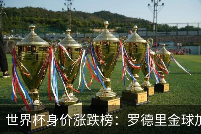 世界杯身价涨跌榜：罗德里金球加身合同年爆发，巴萨射手替补绝杀成筹码